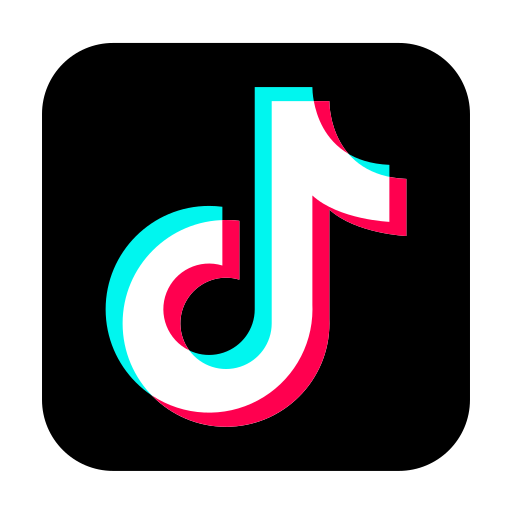 tiktok @realenglishwithbryan